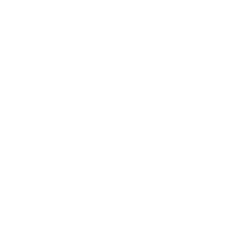 Internal Audits